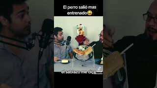 Mi Perro Es Más Educado que Tu viralvideo humor memes chistesbuenos perros [upl. by Yewed]