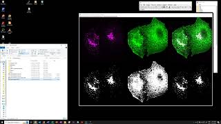 10 Run analysis on full 2D dataset using manual thresholds from paper HD [upl. by Burn]