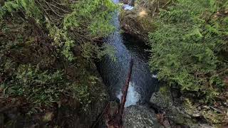 Twin Falls Bridge over South Fork Snoqualmie River [upl. by Aerdnat464]