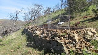 Building a Terrace Swale for Planting Trees on a Slope [upl. by Epstein318]