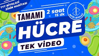 Hücre Tekrar  TAMAMI TEK VİDEO  TYT Biyoloji Konu Anlatımı [upl. by Monah]