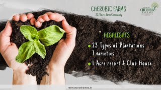 Best Farmlands for Sale in Hyderabad  Cherubic Farms  Myron Homes [upl. by Temme]