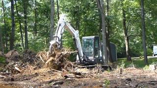 Mini Excavator Pulling Stumps With Ripper [upl. by Acinoj149]