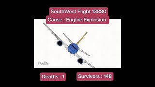 Southwest Flight 1380 Landing Animation aviation plane crash planecrash animation flipaclip [upl. by Ellmyer]