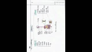 HSC Biology 2nd Paper Chapter3 পরিপাক ও শোষণ।part1 [upl. by Ycnuahc132]