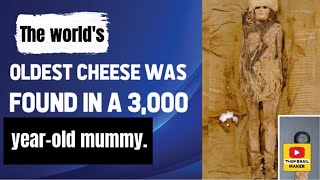 The worlds oldest cheese was found in a 3000yearold mummy [upl. by Cimbura]