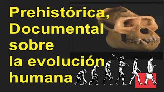 Prehistórica Documental sobre la evolución humana [upl. by Eohce]