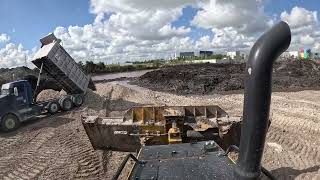 Next Gen CAT D5 Dozer LGP Knocking Down Piles to Build a Road [upl. by Aivil814]