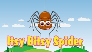 Itsy Bitsy Spider Nursery Rhyme With Lyrics  Cartoon Animation Rhymes amp Songs for Children [upl. by Lehcnom780]