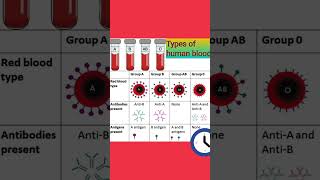 Types of human bloodshortsvideo shortsviral shorts human biology [upl. by Enigroeg180]