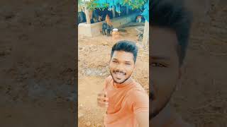 नाही म्हणत sorry💔😆 sorry tending vairalvideo fortnite foryoupage 🤣 [upl. by Letitia]