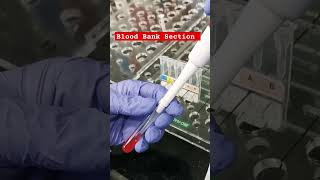 Blood Bank Section of the laboratory [upl. by Manvel]