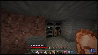 Minecraft born in chaos W fearful gamer [upl. by Noived]