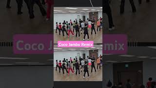 Coco Jambo Remix Linedance [upl. by Ortrud]