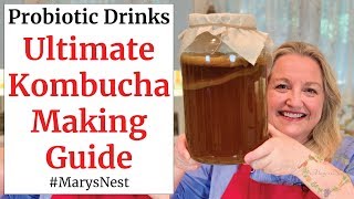 Beginners Guide to Kombucha Making  How to Make Kombucha at Home [upl. by Anileva736]