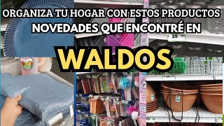 Novedades en Waldos [upl. by Forkey]