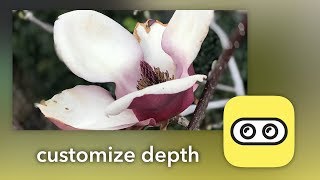 Ultimate Portrait Mode  Focos App Review [upl. by Rosy]