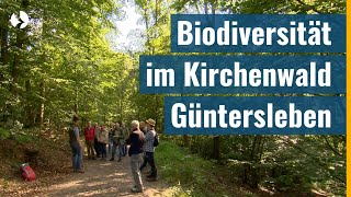 Wo sich Hirschkäfer und Fledermaus wohlfühlen  Kirchenwald in Güntersleben sorgt für Biodiversität [upl. by Quent]