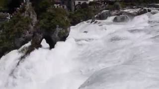 La Gaviota Viajera 8 Las Cataratas de Rin Suiza [upl. by Enomad996]