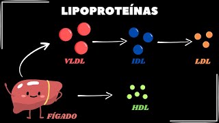 O que e quais são as principais lipoproteínas [upl. by Odrareg]