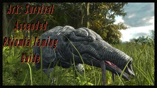 Phiomia Taming Guide  Ark Survival Ascended [upl. by Lindo16]