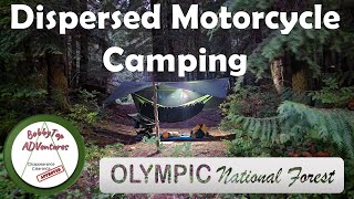 Dispersed Motorcycle Camping  Solo  Satsop River  Honda Africa Twin [upl. by Bearnard]