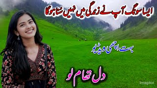 Pahari Song🌻 New Pahari Geet Pahari Gana  New Video New Song 2024🌻Gojri Song  Gojri Geet🌻 ، [upl. by Neelasor]