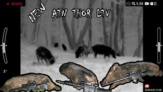 NEW PRODUCT  ATN Thor LTV First Harvest A Hog Triple [upl. by Niryt70]