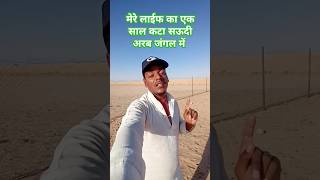 मेरे लाईफ का एक साल कटा सऊदी अरब जंगल में  Majra life In Saudi Arabia music song youtubeshorts [upl. by Kyla]