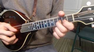 The Blarney Pilgrim  Traditional Fiddle Tune on Mandolin [upl. by Eiser]