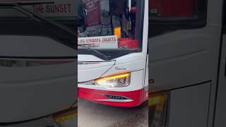 Kedipan lampu Avante mtrans busmania busakap [upl. by Nnylyar]