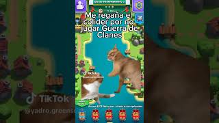 Etapas de estar en un clan Gatitos clashroyale [upl. by Elburr]