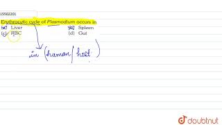 Erythrocytic cycle of Plasmodium ocuurs in [upl. by Ahsiekal]