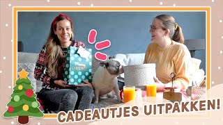 GEWELDIGE KERSTPAKKETTEN AAN ELKAAR GEVEN EN UITPAKKEN 🎄🎀  KERSTVLOG [upl. by Lehmann182]