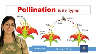 Self amp Cross Pollination  Sexual Reproduction in Plants II Agents of Pollination II [upl. by Yelekalb594]