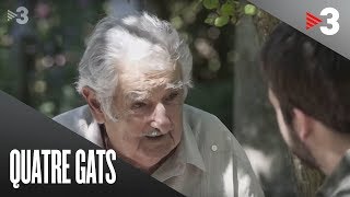 José Mujica [upl. by Leban390]