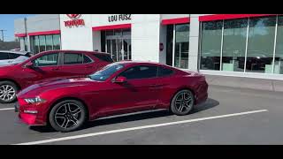 Alexia’s 2019 Ford Mustang Power Style amp Pure Muscle [upl. by Leahcym]