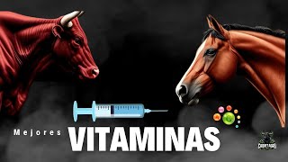 Las 3 Vitaminas más importantes para el Ganado [upl. by Kata]