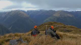 Fiordland Wapiti trip 2018 [upl. by Caitrin146]