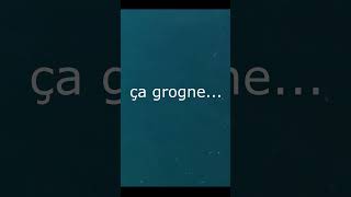 🐟🐟🐟Chasse sousmarine à lîle de Ré 🐟🐟🐟 Des maigres par milliers  🐟🐟🐟🐟 [upl. by Oatis]