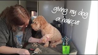 Giving my dog a haircut  Dog Grooming [upl. by Ralf]