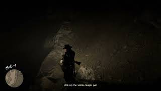 Red Dead Redemption 2 Winton Holmes’s Death Gameplay [upl. by Ditzel]