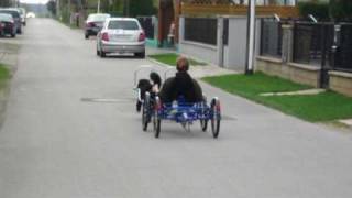 Quad mit Hundegeschirr von Bike Revolution [upl. by Bennie]