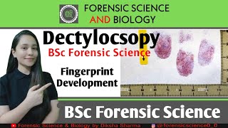 BSc Forensic Science  Dactyloscopy  Fingerprint Development by Ninhydrin Fuming Method [upl. by Aicatsan638]