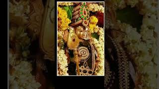 Murugan ringtone 🎵🎵🎵 murugan murugasongs muruga god shortvideo shortsvideo shorts short [upl. by Ahcas]