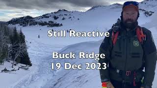 Still Reactive Buck Ridge  19 Dec 2023 [upl. by Annoik246]