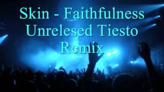 Skin  Faithfulness Unrelesed Tiesto Remixwmv [upl. by Purington]