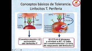 HIPERSENSIBILIDAD 1ERA PARTE [upl. by Adelind]