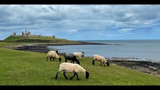 Craster and Amble Northumberland [upl. by Neukam]