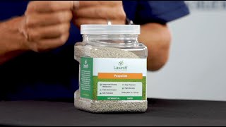 The Best Paspalum Grass Seed [upl. by Okiruy]